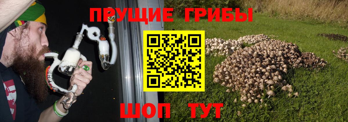 Ртищево  Псилоцибиновые грибы GOLDEN TEACHER  Вход с VPN 