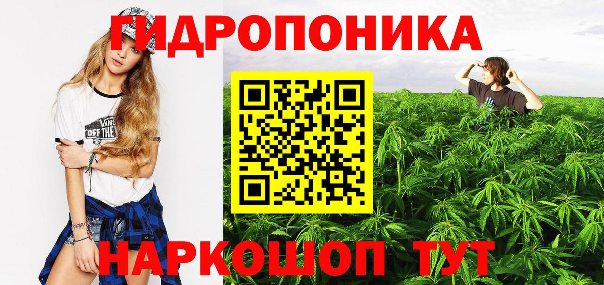 Марихуана план  Канабис конопля  Ртищево  Вход с VPN 